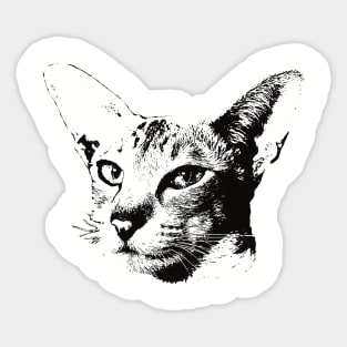 Oriental gift for Oriental Shorthair Owners Sticker